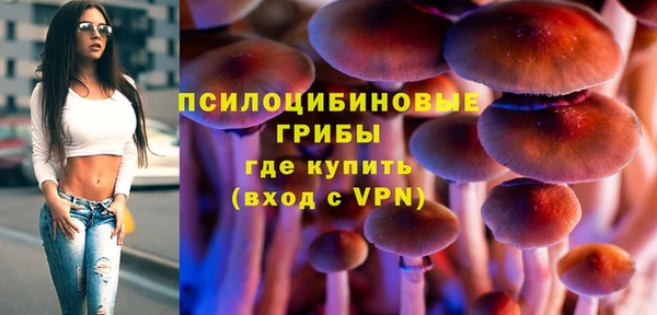 каннабис Гусев