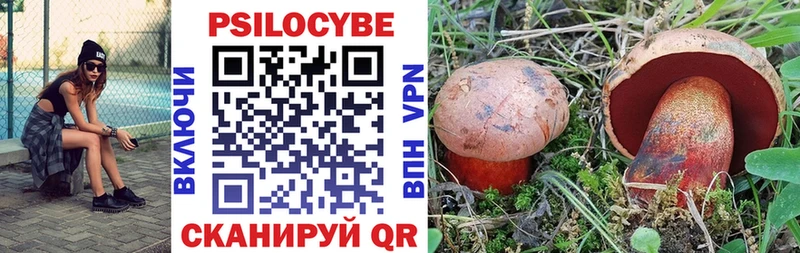 omg сайт  Дятьково  Псилоцибиновые грибы прущие грибы  наркота 